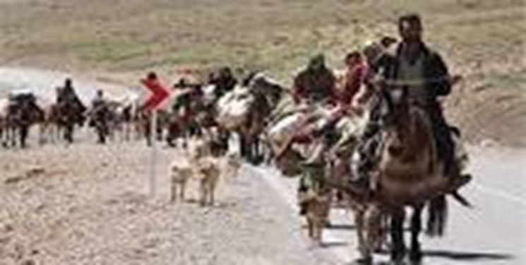 طرح عضویت عشایر کوچنده در شرکتهای تعاونی انجام میشود