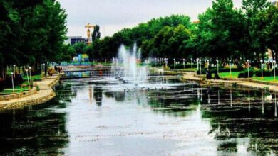 عبدالقدیر امام: درصدد ارتباط گردشگری کشورهای عضو D۸ با اردبیل هستیم+فیلم