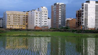 فارس من| توسعه عمودی شهرها فقط در شرایط اضطرار منطقی است