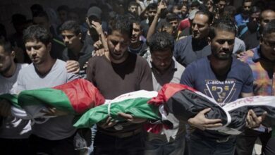 فراکسیون زنان مجلس: غزه مهمترین سند بی هویتی و وابستگی سازمان ملل به رژیم کودک کش صهیونیستی است