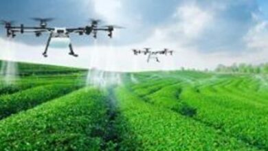 فنآوری نانو وارد مزارع و باغات میشود
