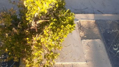 ماجرای مردی که پدری میکند برای مجهولالهویهها!