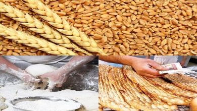 ماراتن گندم و نان تا طلایی شدن/شماره ۱۰۴ به مقصد میرسد؟