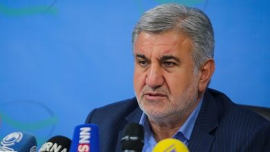 مردانی: صدای فلسطینیها با عملیات طوفان الاقصی در جهان پیچیده است