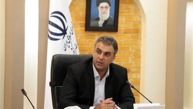 مسابقات قهرمانی کشور شطرنج و ووشو در کرمان برگزار میشود