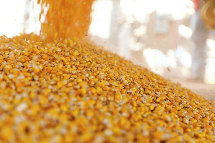 مشکلات تولید از بخشنامههای خلقالساعه تا بدعهدیها