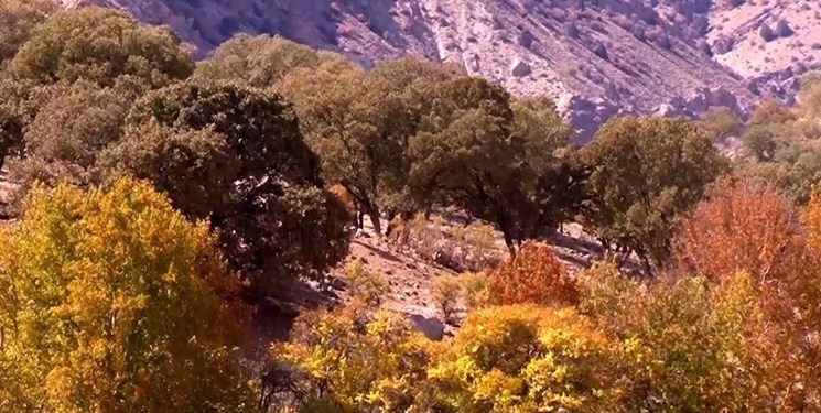 مهمترین راه حفاظت از عرصههای ملی آموزش جوامع محلی است