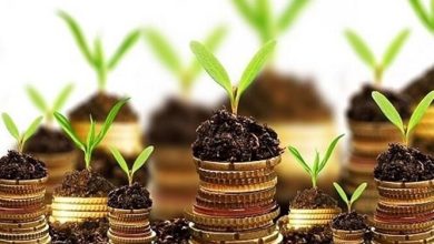 نقش تعاونیها در صنایع تبدیلی، تراز ارزی کشاورزی را مثبت میکند