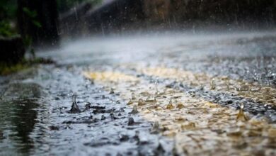 هواشناسی ایران ۱۴۰۲/۰۷/۰۹؛ هشدار فعالیت سامانه بارشی/ کاهش ۸ درجهای دما در برخی استانها