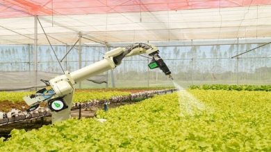 هوش مصنوعی منجر به پوستاندازی کشاورزی سنتی ایران میشود؟