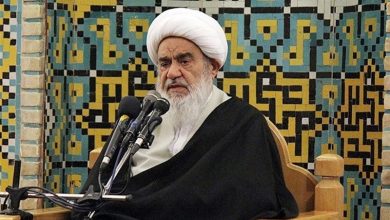 واکنش آیتالله مظاهری به جنایات بیشرمانه اسرائیل/ شاهد مرگ انسانیت هستیم