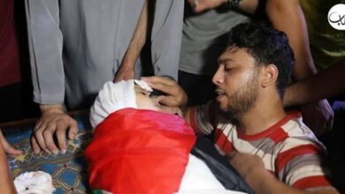 واکنش علی لاریجانی به انفعال سران کشورهای عربی در قبال جنایت صهیونیستها