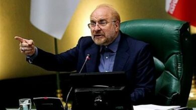 واکنش قالیباف به یک نماینده درباره جلوگیری از اظهار نظر وکلایملت