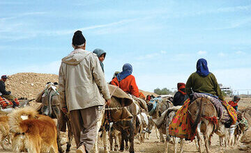 ٩٠٠٠ دانشآموز در «مدارس عشایری» استان کرمانشاه تحصیل میکنند