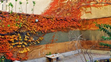 پیشبینی هوای این هفته کرمانشاه؛ گرم با بارشهای پراکنده پاییزی