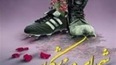 کتاب زندگینامه شهدای ورزشکار استان کردستان رونمایی شد