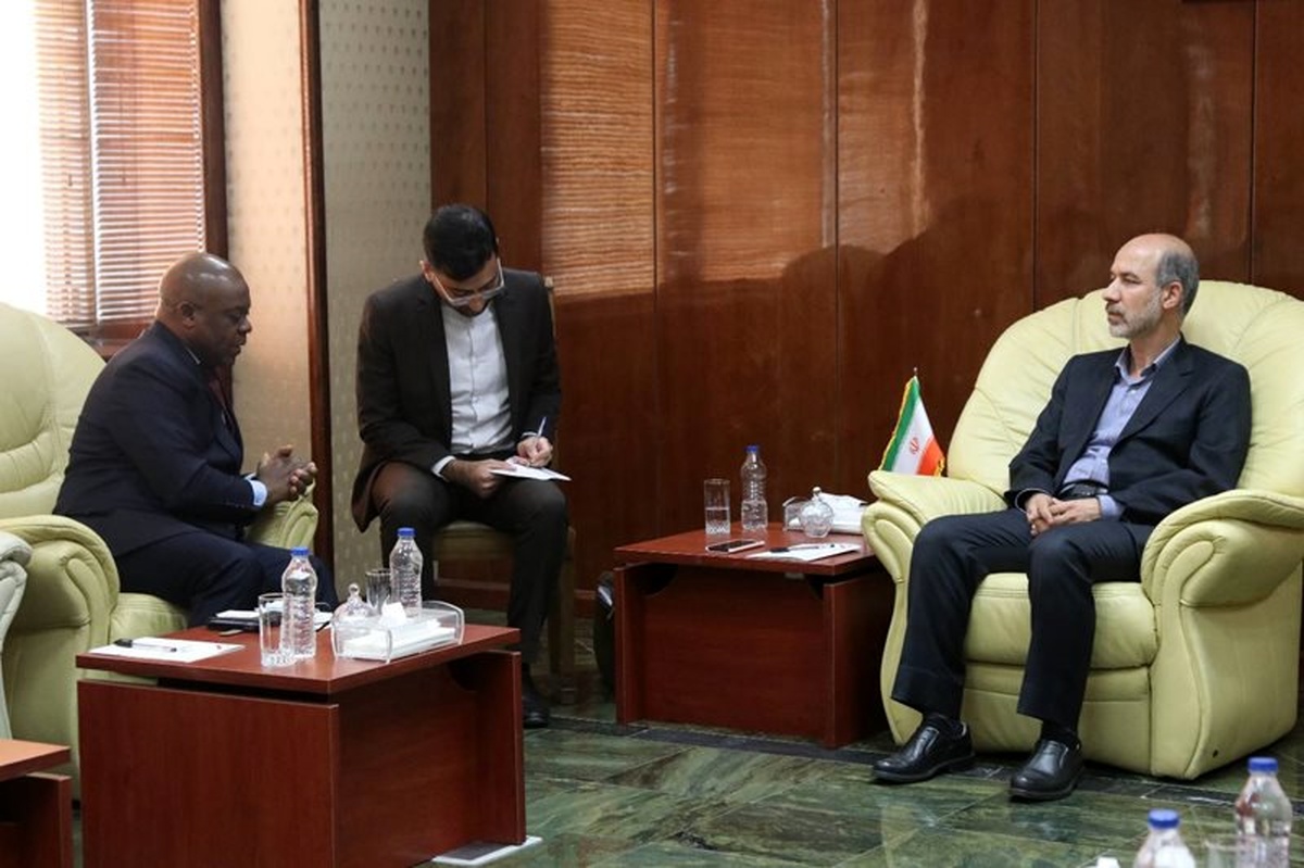 کشورهای عضو دی هشت میتوانند در زمینه انرژی تحولات جدی ایجاد کنند