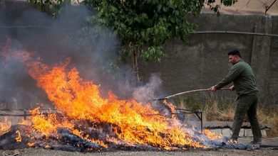 ۶ تُن انواع مواد افیونی در اصفهان امحا شد/ انهدام ۵۱ باند قاچاق مواد افیونی 