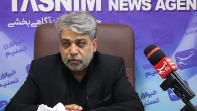 ۷۵ درصد کالاهای صادراتی استان مرکزی به ۵ کشور جهان صادر میشود