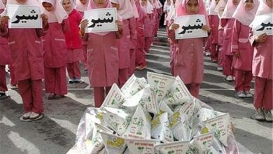 آغاز توزیع هفتهای ۲۵۰ هزار شیر پاکتی در مدارس استان بوشهر