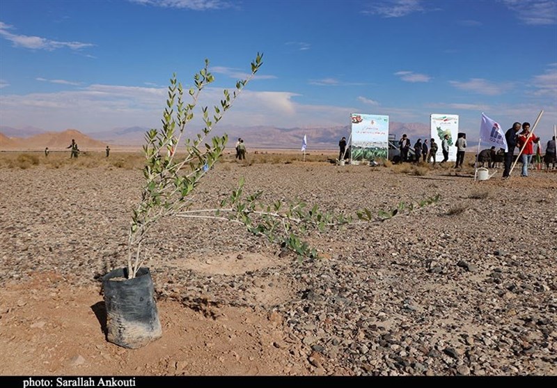 استان کرمان , استانداری کرمان ,