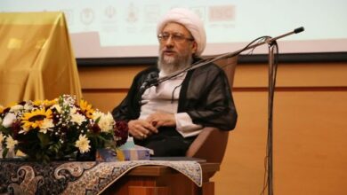 آملیلاریجانی: تمدن غرب از فرهنگ شهید و شهادت فهمی ندارد