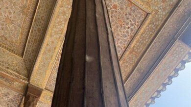 آیا موریانهها به ستونهای چهلستون حمله کردهاند؟