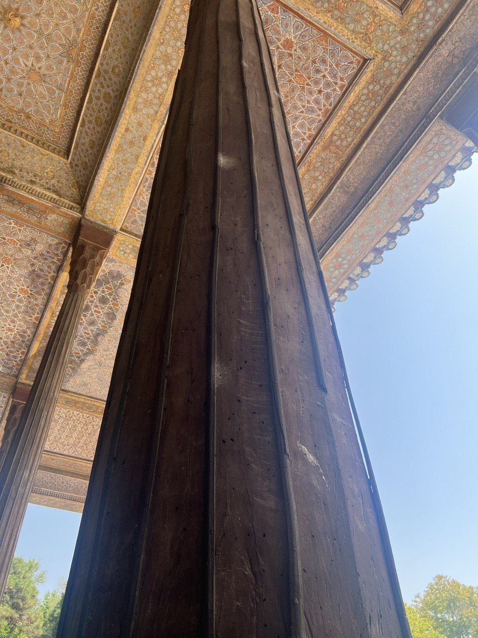 آیا موریانهها به ستونهای چهلستون حمله کردهاند؟ + تصاویر