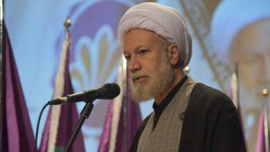 آیت الله دژکام: جوانان نسل آرمانها را تقویت کنند