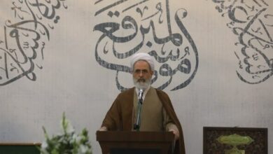 آیتالله اعرافی: امامزادگان پیشینه و تاریخچه ما هستند