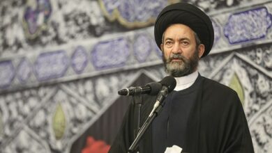 آیتالله عاملی: بزرگترین اشتباه آمریکا حمایت جنونآمیز از رژیم صهیونیستی است