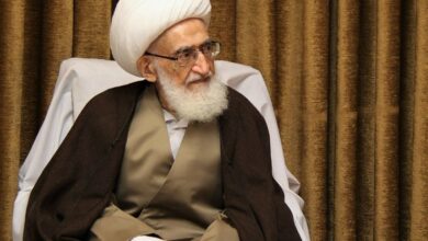 آیتالله نوریهمدانی: در کنار حشدالشعبی عراق خواهیم ایستاد