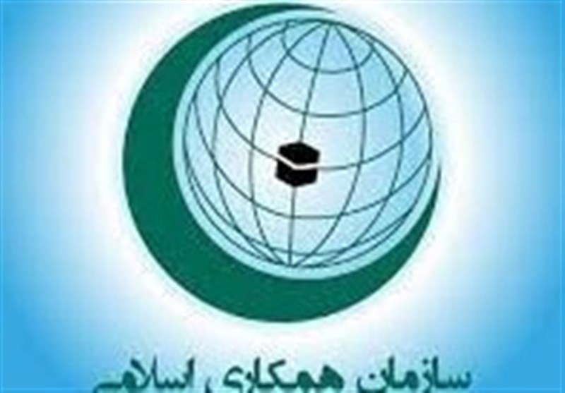 ابتکارات عملی اجلاس ویژه سران سازمان همکاری اسلامی برای مقاومت فلسطینی چه می تواند باشد؟