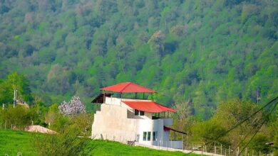 ابطال یک قرارداد به نفع مردم/ ۴۰۰ هکتار از جنگلهای بکر هیرکانی منطقه گزو به منابع طبیعی بازگشت