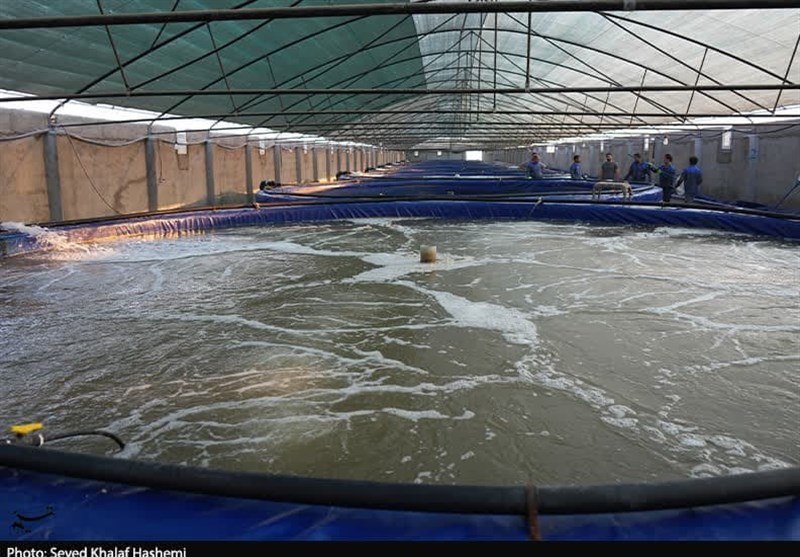 احداث ۴ شهر مولد ساحلی جدید در استان بوشهر + تصویر