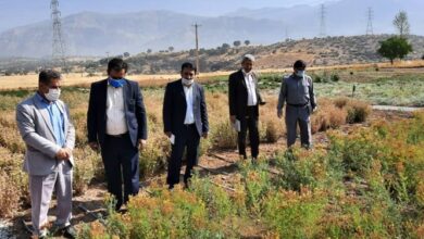 احصای اشکالات شیوهنامه قانون یکپارچهسازی اراضی کشاورزی پس از 17 سال بلاتکلیفی