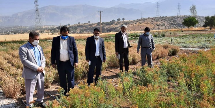 احصای اشکالات شیوهنامه قانون یکپارچهسازی اراضی کشاورزی پس از 17 سال بلاتکلیفی