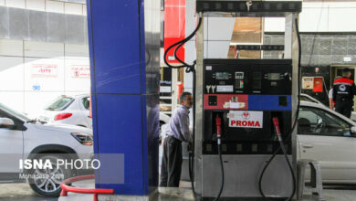 اختیار تغییر در قیمت حاملهای انرژی در دست دولت است