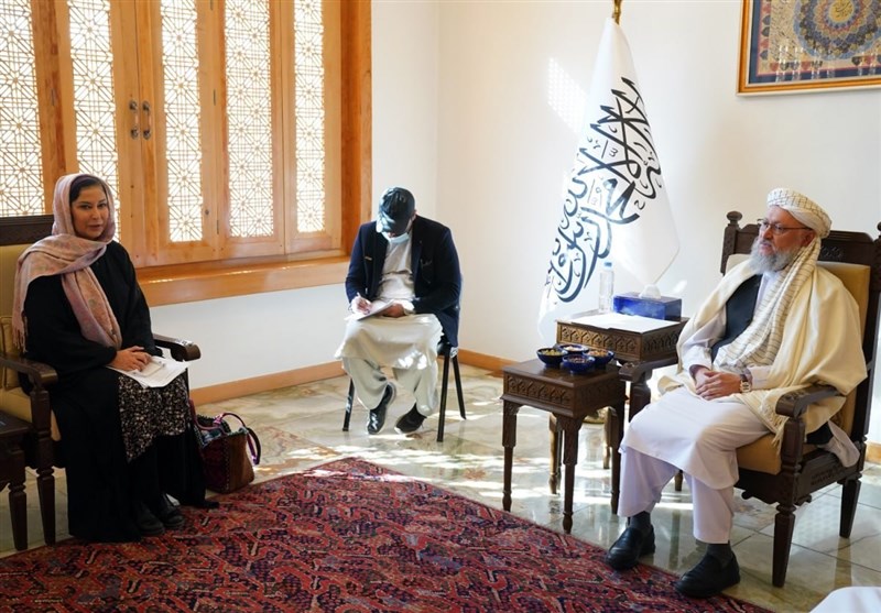 اخراج جمعی پناهجویان افغان از پاکستان محور دیدار حنفی با نماینده اتحادیه اروپا