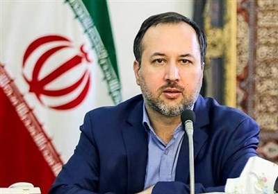 ارکانی: اگر دولت توان اجرای کالابرگ را نداشت نباید ارز ترجیحی را حذف میکرد