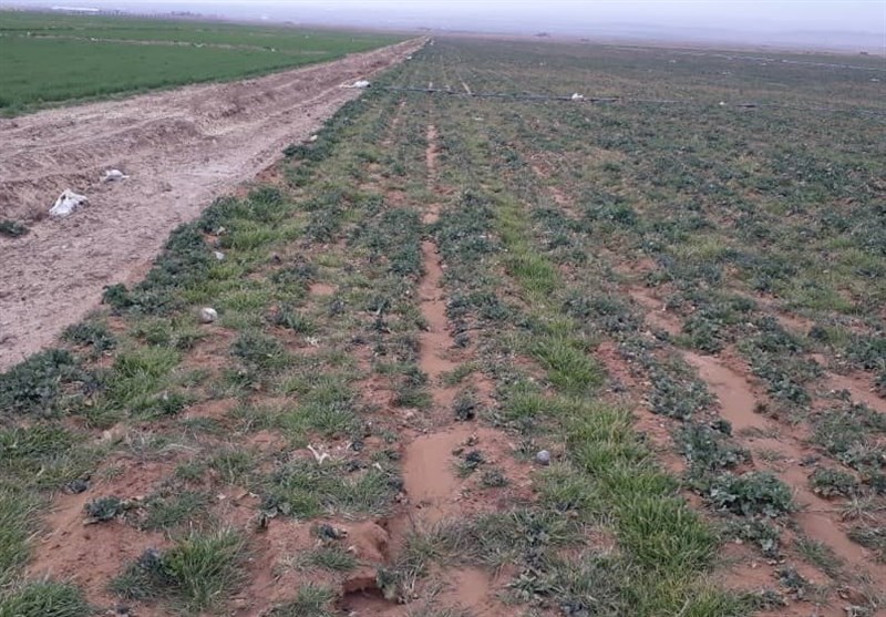 افت شدید قیمت بیتکوین، ساخت شهرک ۱۲ هکتاری رمزارز زنجان را منتفی کرد