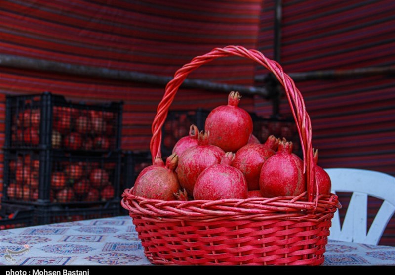 انتقادها به حواشی جشنواره انار «دلهمرز» کردستان/ ماموستا قادری: فرهنگ اورامان را خدشهدار نکنید