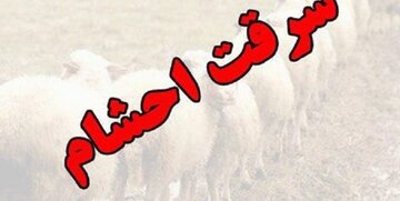 انهدام باند سارقان احشام و کشف ۱۴ فقره سرقت در خرمآباد