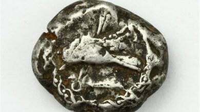 اهدای سکهای با قدمت ۲۳۰۰ سال به موزه رضوی