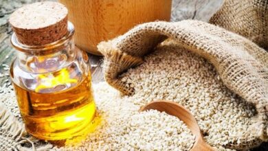 برداشت کنجد از قطب تولید کنجد در سیستان و بلوچستان