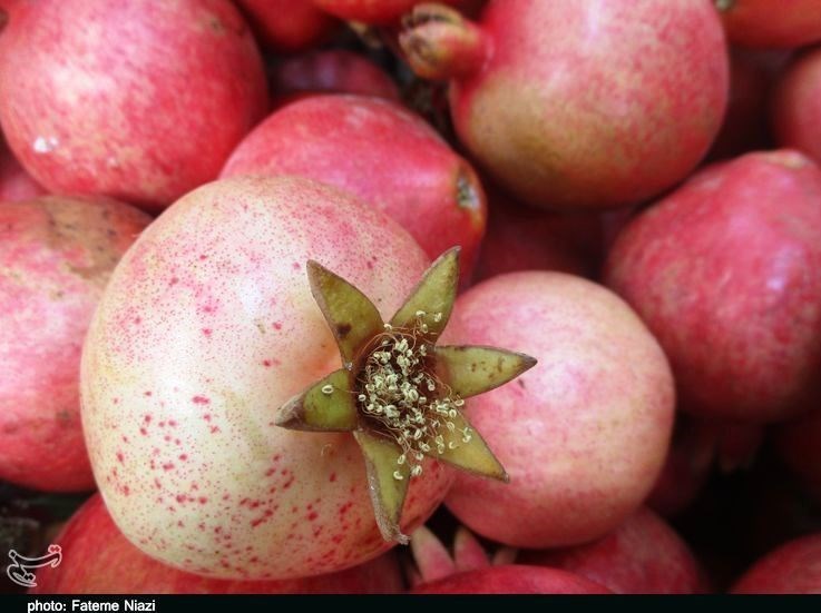 استان لرستان , کشاورزی ,