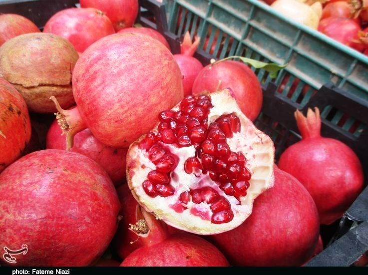 استان لرستان , کشاورزی ,