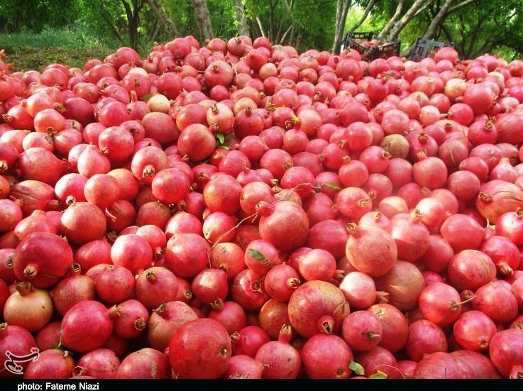 استان لرستان , کشاورزی ,