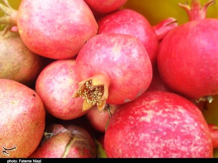 استان لرستان , کشاورزی ,