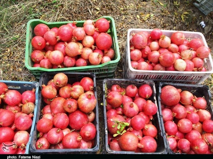 استان لرستان , کشاورزی ,